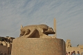 2013 02 05_5564